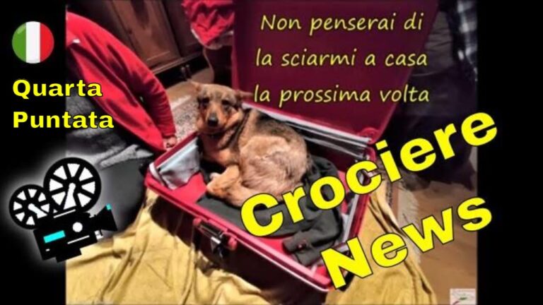 Cani a bordo: Costa Crociere trasforma il viaggio in una vacanza perfetta per i nostri amici a quattro zampe